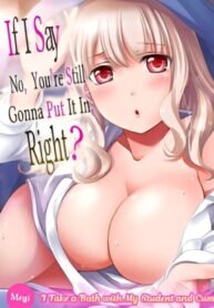 If I Say No Youre Still Gonna Put It In Right 193×278 1